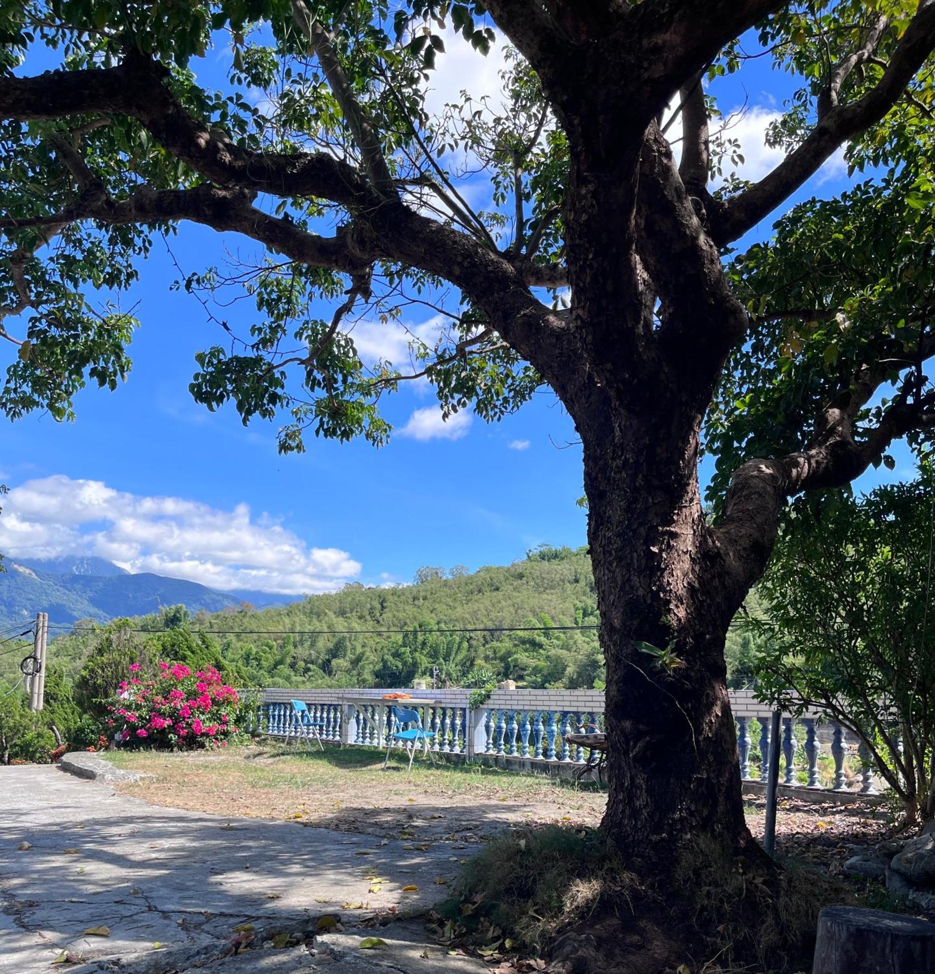 十畝田山莊會館 Hotel Chishang Exterior photo